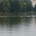 Táborská regata 2021