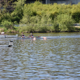 Pražská veslařská regata Bohemians